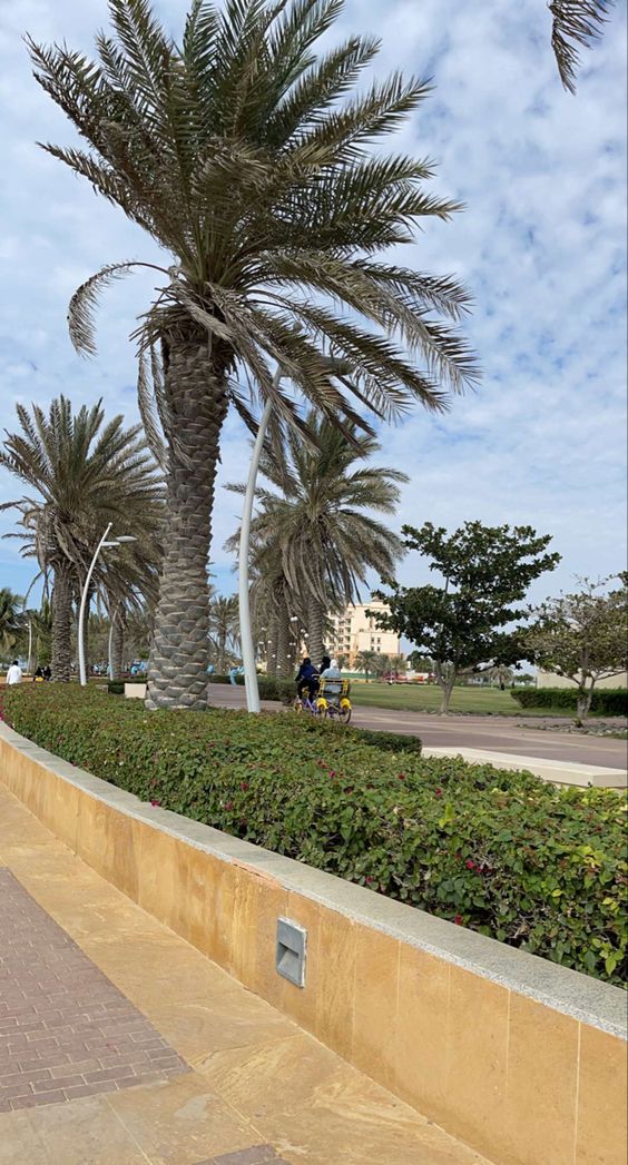 مقاول شبوك ونخيل