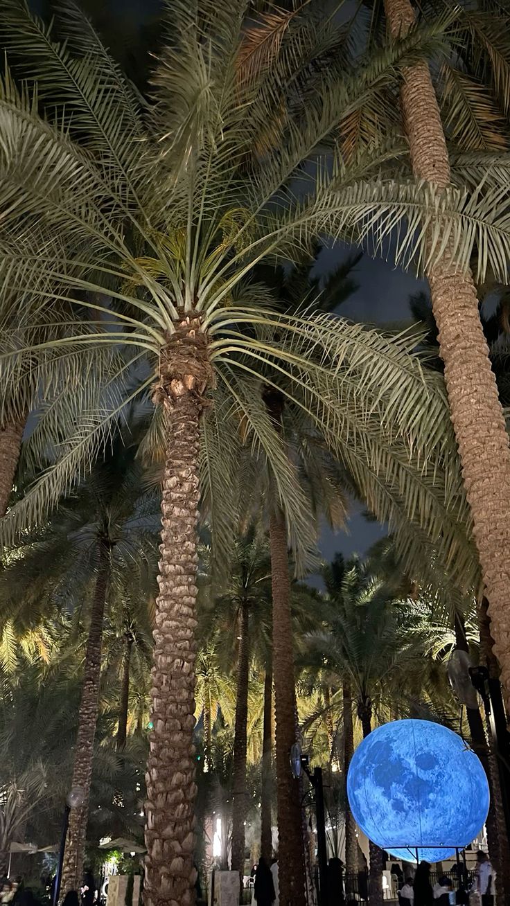مقاول شبوك ونخيل
