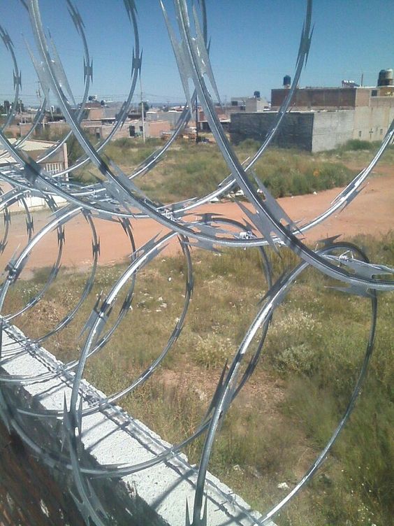 مقاول شبوك ونخيل